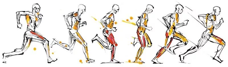 想跑得更快、更穩(wěn)、不受傷，這10個動作一定要學(xué)會！